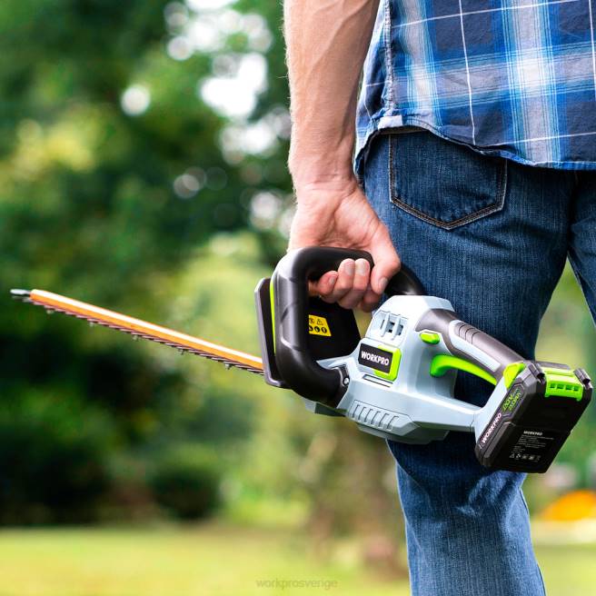 WORKPRO 20V sladdlös häcksax med dubbelverkande blad elektriskt trädgårdsredskap 2,0ah batteri och 1 timmes snabbladdare ingår morden 0ZLD295 verktyg