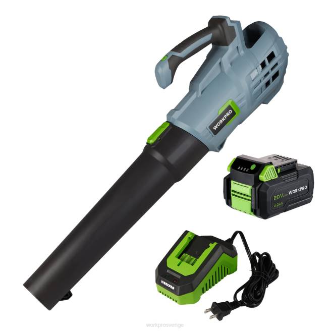 WORKPRO 20v sladdlös lövblås med 5 justerbara hastigheter 4.0ah batteri med större kapacitet och snabbladdare ingår hjälpsam 0ZLD292 verktyg